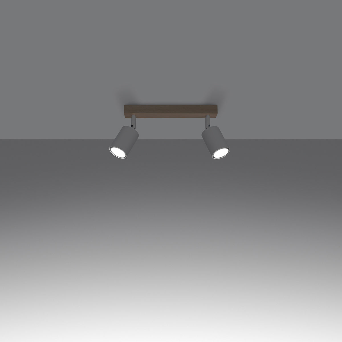 Loftslampe VERDO 2 hvid – Stål, træ – GU10